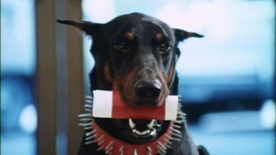 Doberman Film